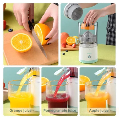 Electric Stainless Fruit Juicer